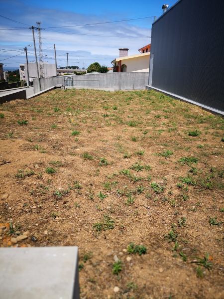 Sede — foto 7