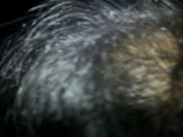 Memórias — foto 897