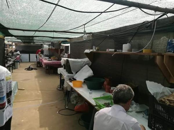 Memórias — foto 1547
